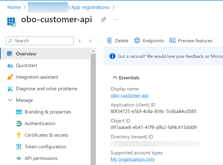 On Behalf Of Flow Entra ID Customer Web API registered in Microsoft Entra ID