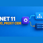 Diagram of a .NET 11 request bypassing a proxy for a NO_PROXY CIDR private subnet