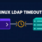 A Linux application terminal connected to an LDAP server through a timeout clock.